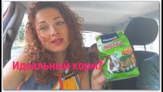 Моя Семья.Идеальный корм для хомяка/"Разгрузочный" день