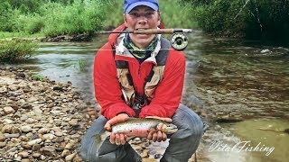 Idaho Trout Fishing | Cutthroat Feeding FRENZY