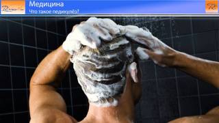 Что такое педикулёз?