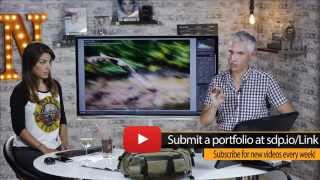 Tony & Chelsea LIVE: Instant Reviews of Your Action Photos, Photo News, Portfolio Reviews!