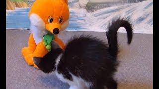 Kitten and talking fox.  Котёнок и говорящий лисенок