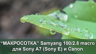 Макро - объектив 100/2.8 macro Samyang для Sony A7 series (sony E)
