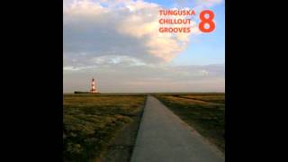 Tunguska Electronic Music Society - The Endless Snowfall feat. Julia Baburova - Magic Shadowplay