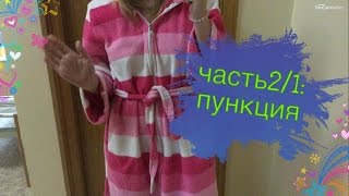 Часть 2/1: забор яйцеклеток, пункция, мы в клинике.