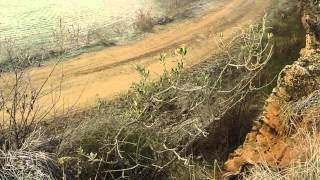 Tutto Caccia - Caccia alle Pernici rosse in Spagna