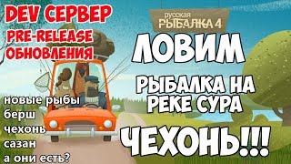 Русская Рыбалка 4 - Ловим чехонь! Рыбалка на реке Сура. Обзор обновления.