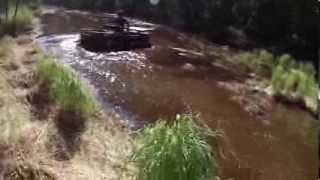 Short Video ofArgo Conquest Playing in the Swamp - has tracks on