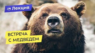 Встреча с медведем: инструкция по применению