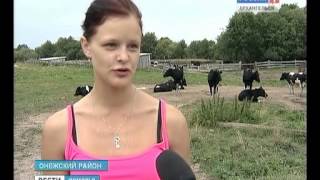29 08 13 Вести онега