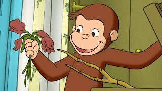 Curious George ?Much Ado About Nothing ?Full Episode? Cartoons For Kids ? Kids Movies