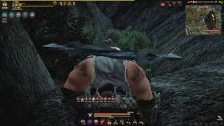 Black Desert, Золотой Сундук с Сокровищами (Древо Руя) (Golden Treasure Chest Locations)