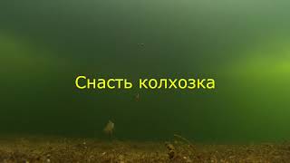 Поведение окуня подо льдом