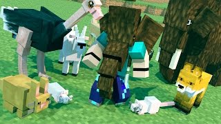 Minecraft Mods - MORPH HIDE AND SEEK - Mo' Creatures Mod