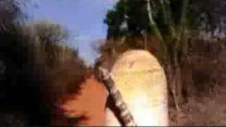 Harlan T Bobo Vacation