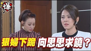 《多情大爆爆》多情城市 EP166 狠婦下跪 向思思求饒？