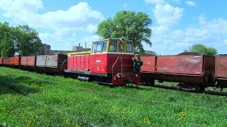 Torfbahn / Peat Railway - 750mm / ОАО «ТБЗ Усяж» / HD | 720p