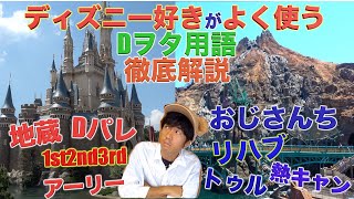 【初心者向け！】みんなは全部知ってる？ディズニー好きがよく使うディズニー用語を徹底解説 東京ディズニーランド 東京ディズニーシー
