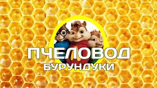 Пчеловод [RASA] Поют Бурундуки