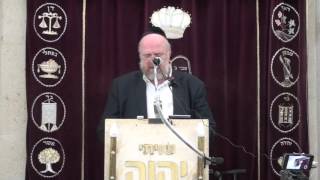 הרב ברוך רוזנבלום פרשת וישלח 10 תשע״ו Rabbi Baruch Rosenblum