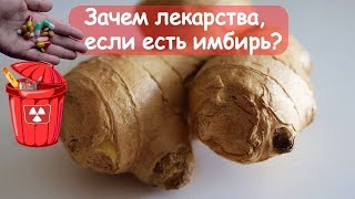 Зачем лекарства, если есть имбирь: 9 веских причин употреблять имбирь каждый день
