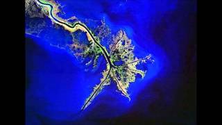 T Bone Burnett -- Mississippi Delta
