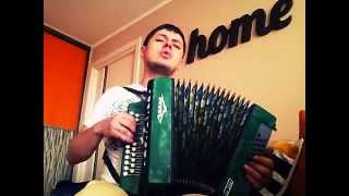 «Черный ворон» (русская народная песня) под гармонь