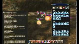 Lineage 2 Bishop   Cardinal Crazy PVP