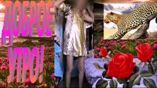 переодевания в женские вещи и не более, cross-dressing in women's clothes