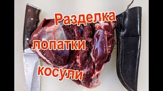 Разделка лопатки косули