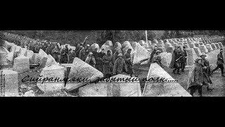 VT линия, Сийранмяки, забытый полк, раскопки по второй мировой, карельский перешеек, siiranmaki.