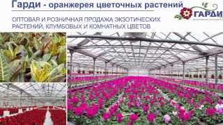 Гарди - питомник растений и цветов