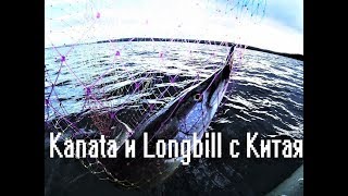 Большие копии с Али - Kanata и Longbill ???