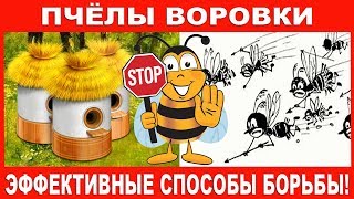 Пчёлы воровки - эффективные способы борьбы!