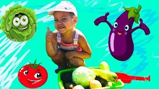 Old Macdonald had a farm Nursery Rhyme song for kids by Sofik Life