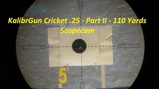 KalibrGun Cricket .25 Air Rifle -  Part II - 110 Yards (100m) Scopecam