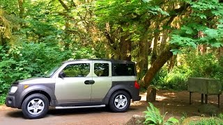 Camping at Elk Prairie Campground | Redwood National Park, California