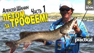 Летом за трофеем! Часть 1. Ловля щуки на Волге. Алексей Шанин.