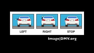 Do You Know How to Use Hand Signals for Turning or Stopping in a Car?