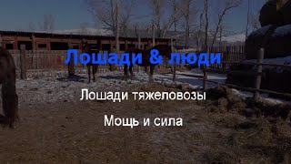 Тяжеловозы мощь и сила-Βαριά δύναμη και αντοχή-Heavy might and strength-Tung kraft och styrka