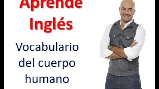 Vocabulario en Inglés: El cuerpo humano