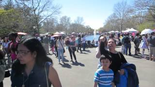 Subaru Cherry Blossom Festival of Greater Philadelphia "Sakura Sunday"