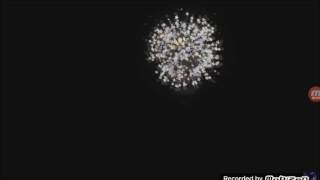 Харли Квин и Джокер:***Сумасшедшая Харли***