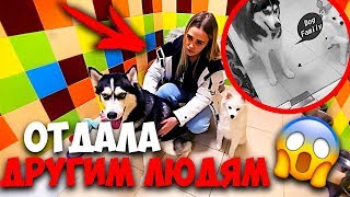 ЗАЧЕМ Я ОТДАЛА СВОИХ СОБАК В ПРИЮТ?!! ОСТАВИЛИ ИХ ОДНИХ В ГОСТИНИЦЕ ДЛЯ ЖИВОТНЫХ! Прощаемся!