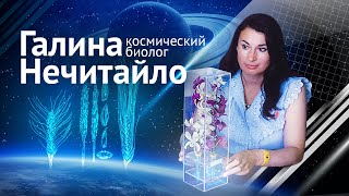 Галина Нечитайло: космический биолог