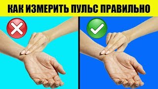 Как измерить пульс правильно. 10 секунд, 15 или 1 минута?