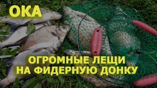 Ловля леща летом на фидер на реке Ока / Отчет о бесплатной рыбалке Подмосковье в июне 2019.