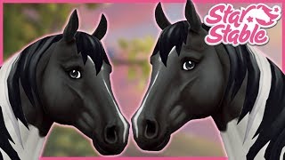 The New BEST Horse In Star Stable Online - The Trakehner