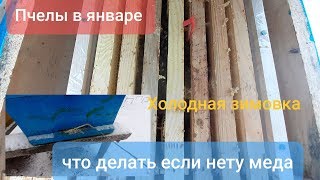 Зимовка пчел 9 января 2020, спасаем пчел от голода, что делать?Bees wintering