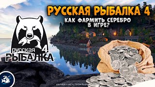Как фармить серебро новичку в Русской Рыбалке 4