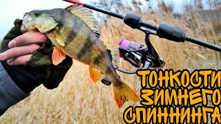 Тонкости ЗИМНЕГО спиннинга!!! Микроджиг на РЕКЕ в ЯНВАРЕ!!!